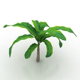 palm 2 3D Model Preview #e999d99d