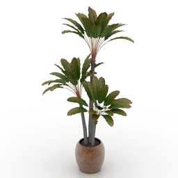 palm 3D Model Preview #2b768627