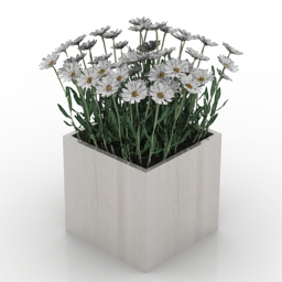 flowers camomile 3D Model Preview #661e0655