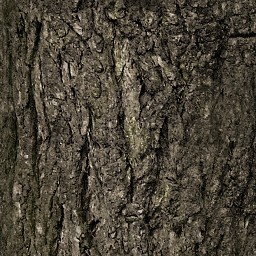 Bark