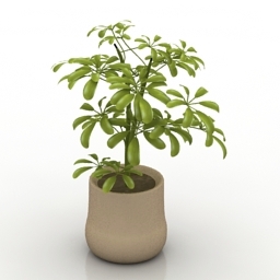plant 3D Model Preview #b53426af