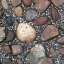 Paving