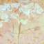 Marble
