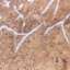 Marble
