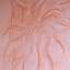 Stucco
