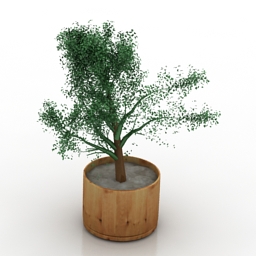 plant 3D Model Preview #45042965