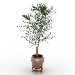 plant 3D Model Preview #74394527