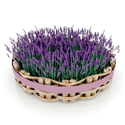 flowers 3D Model Preview #a4cac274