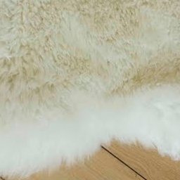Carpet