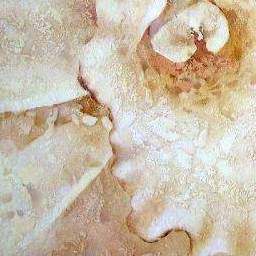 Stucco