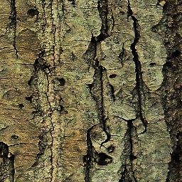 Bark