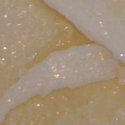 Stucco