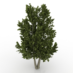tree 3D Model Preview #b998129e