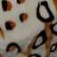 Textile