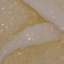 Stucco