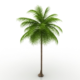 palm 3D Model Preview #78b17ad9