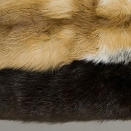 Carpet