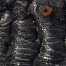 Wood