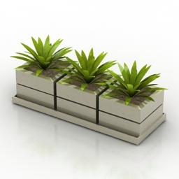 flower 3D Model Preview #08f1f5a2