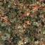 Granite