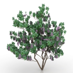 3D Bush preview