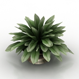 plant 3D Model Preview #2fe97822