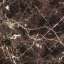 Marble