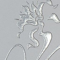 Download 3d cad models, 3d max textures, 3d help