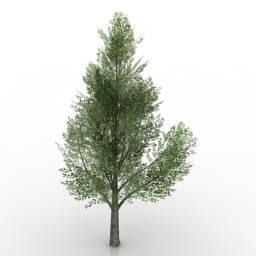 tree 3D Model Preview #95ec659f
