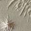 Stucco