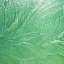 Stucco