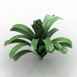 plant 3 3D Model Preview #beb193a4