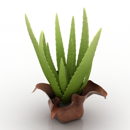 plant 3D Model Preview #60db1217