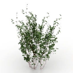 bush 3D Model Preview #d3785282