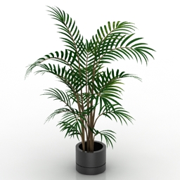 palm 3D Model Preview #64b75a0d