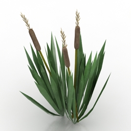 plant 2 3D Model Preview #1af675ca