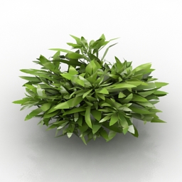plant 1 3D Model Preview #cf2af620