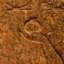 Bas-relief