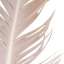 Feather