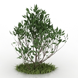 Download 3d cad models, 3d max textures, 3d help