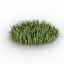 Grass