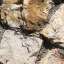 Stone