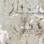 Stucco