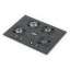 Gas stove