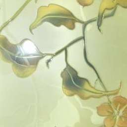 Glass