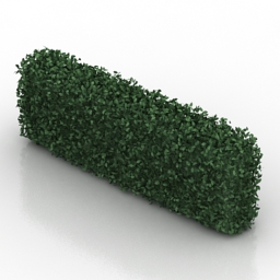 bush 4 3D Model Preview #83a6e267