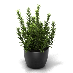 3D Plant preview