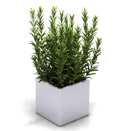 3D Plant preview