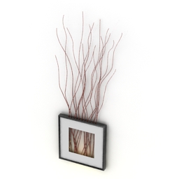3D Frame preview