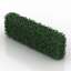 Bush